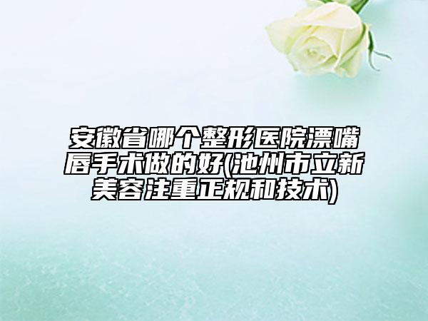 安徽省哪個(gè)整形醫(yī)院漂嘴唇手術(shù)做的好(池州市立新美容注重正規(guī)和技術(shù))