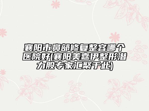 襄陽市鼻部修復整容哪個醫(yī)院好(襄陽美嘉伊整形潛力股專家匯聚于此)