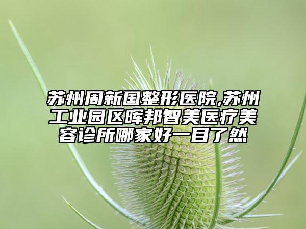 蘇州周新國整形醫(yī)院,蘇州工業(yè)園區(qū)暉邦智美醫(yī)療美容診所哪家好一目了然