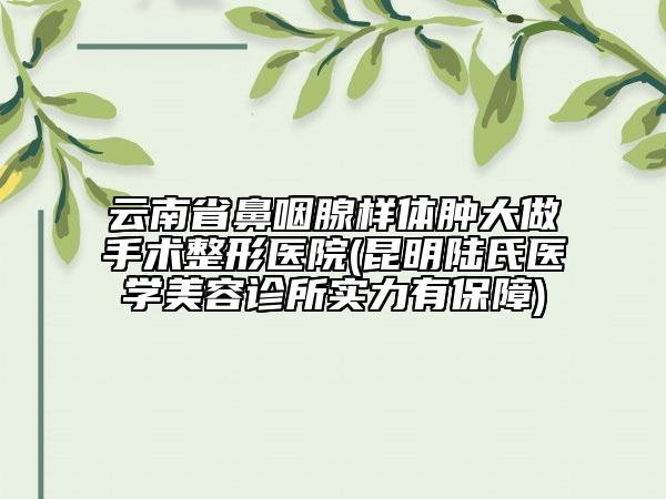 云南省鼻咽腺樣體腫大做手術(shù)整形醫(yī)院(昆明陸氏醫(yī)學(xué)美容診所實(shí)力有保障)