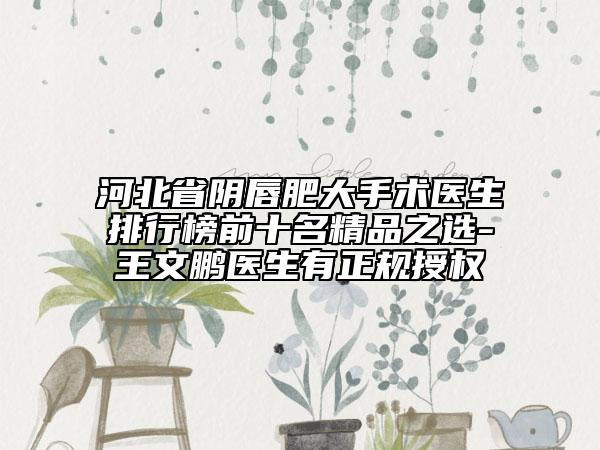 河北省陰唇肥大手術(shù)醫(yī)生排行榜前十名精品之選-王文鵬醫(yī)生有正規(guī)授權(quán)