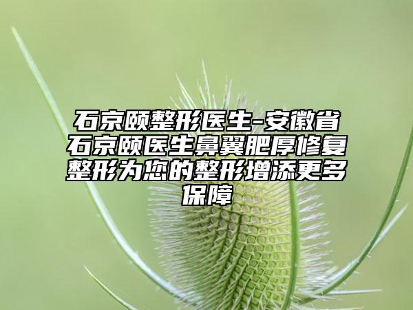 石京頤整形醫(yī)生-安徽省石京頤醫(yī)生鼻翼肥厚修復(fù)整形為您的整形增添更多保障