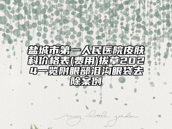 鹽城市第一人民醫(yī)院皮膚科價格表(費用)拔草2024一覽附眼部淚溝眼袋去除案例