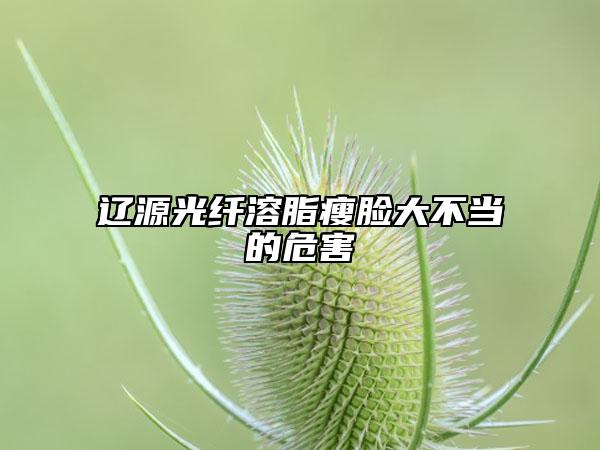 遼源光纖溶脂瘦臉大不當(dāng)?shù)奈：? data-alt=