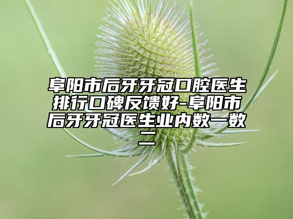 阜陽市后牙牙冠口腔醫(yī)生排行口碑反饋好-阜陽市后牙牙冠醫(yī)生業(yè)內(nèi)數(shù)一數(shù)二