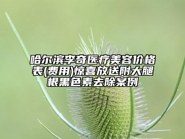 哈爾濱李奇醫(yī)療美容價(jià)格表(費(fèi)用)驚喜放送附大腿根黑色素去除案例