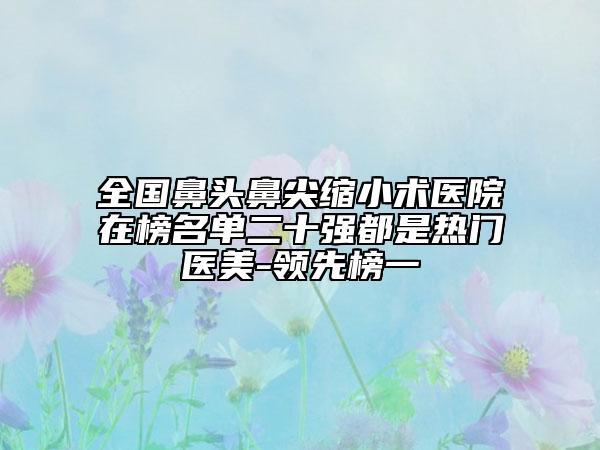 全國鼻頭鼻尖縮小術(shù)醫(yī)院在榜名單二十強都是熱門醫(yī)美-領(lǐng)先榜一