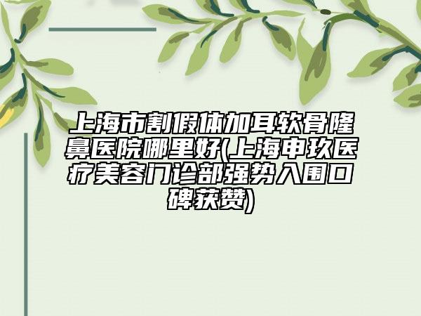 上海市割假體加耳軟骨隆鼻醫(yī)院哪里好(上海申玖醫(yī)療美容門診部強勢入圍口碑獲贊)