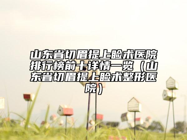 山東省切眉提上瞼術(shù)醫(yī)院排行榜前十詳情一覽（山東省切眉提上瞼術(shù)整形醫(yī)院）