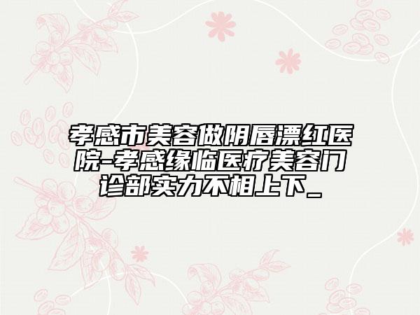 孝感市美容做陰唇漂紅醫(yī)院-孝感緣臨醫(yī)療美容門診部實力不相上下_