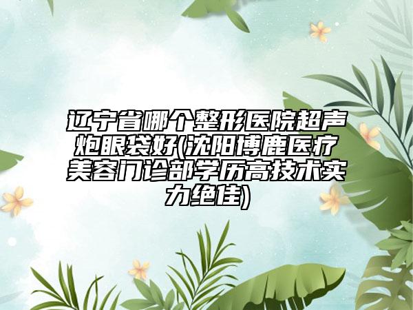 遼寧省哪個整形醫(yī)院超聲炮眼袋好(沈陽博鹿醫(yī)療美容門診部學歷高技術(shù)實力絕佳)