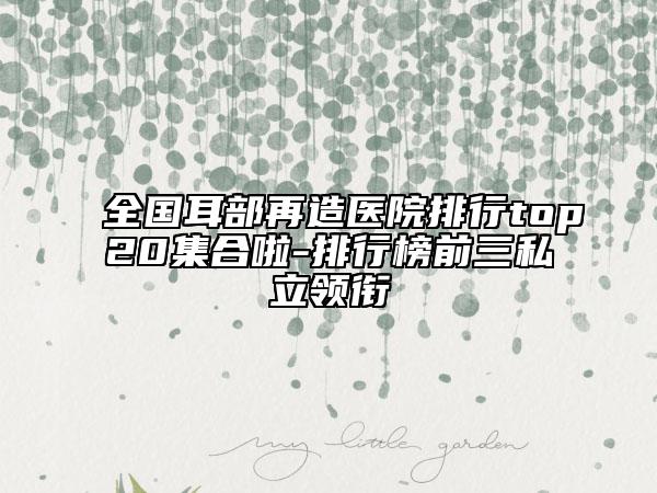 全國耳部再造醫(yī)院排行top20集合啦-排行榜前三私立領(lǐng)銜