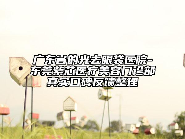 廣東省的光去眼袋醫(yī)院-東莞紫芯醫(yī)療美容門診部真實口碑反饋整理