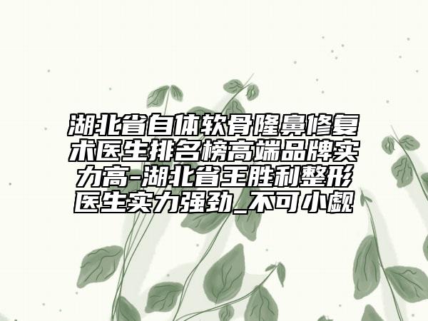 湖北省自體軟骨隆鼻修復(fù)術(shù)醫(yī)生排名榜高端品牌實力高-湖北省王勝利整形醫(yī)生實力強勁_不可小覷
