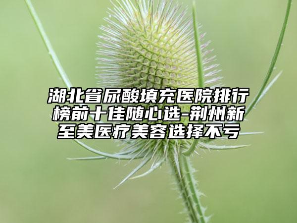湖北省尿酸填充醫(yī)院排行榜前十佳隨心選-荊州新至美醫(yī)療美容選擇不虧