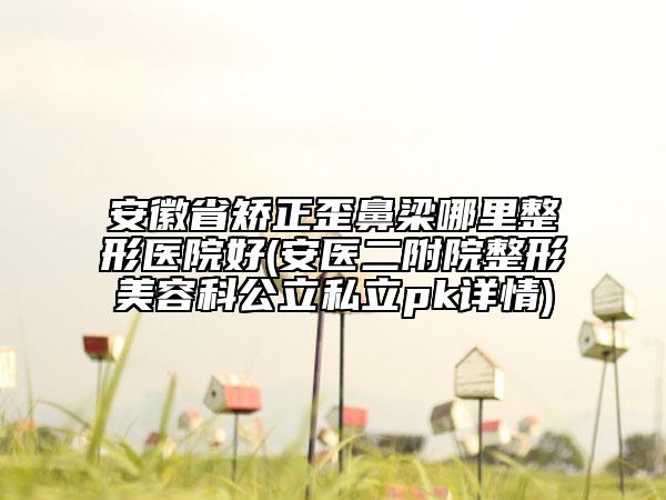 安徽省矯正歪鼻梁哪里整形醫(yī)院好(安醫(yī)二附院整形美容科公立私立pk詳情)