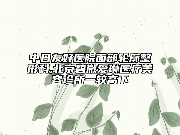 中日友好醫(yī)院面部輪廓整形科,北京碧微愛琳醫(yī)療美容診所一較高下