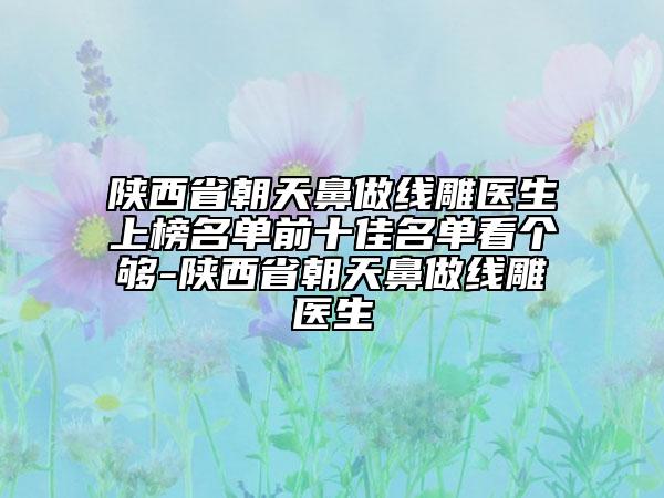 陜西省朝天鼻做線雕醫(yī)生上榜名單前十佳名單看個(gè)夠-陜西省朝天鼻做線雕醫(yī)生