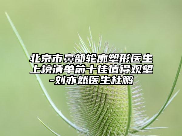 北京市鼻部輪廓塑形醫(yī)生上榜清單前十佳值得觀望-劉亦然醫(yī)生杜鵬