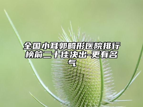 全國小耳郭畸形醫(yī)院排行榜前二十佳決出-更有名氣