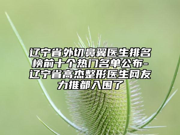 遼寧省外切鼻翼醫(yī)生排名榜前十個熱門名單公布-遼寧省高杰整形醫(yī)生網(wǎng)友力推都入圍了