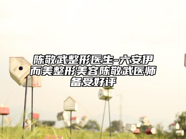 陳敬武整形醫(yī)生-六安伊而美整形美容陳敬武醫(yī)師備受好評(píng)