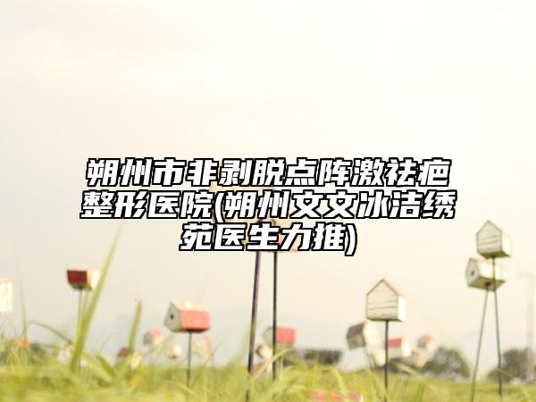 朔州市非剝脫點陣激祛疤整形醫(yī)院(朔州文文冰潔繡苑醫(yī)生力推)