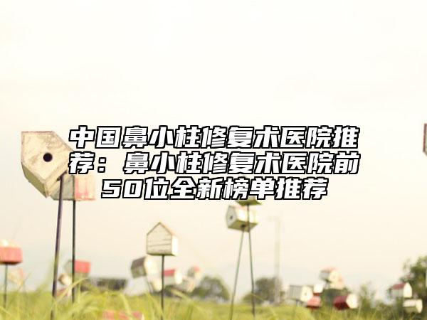 中國鼻小柱修復(fù)術(shù)醫(yī)院推薦：鼻小柱修復(fù)術(shù)醫(yī)院前50位全新榜單推薦