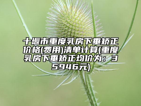 十堰市重度乳房下垂矯正價格(費用)清單計算(重度乳房下垂矯正均價為：35946元)