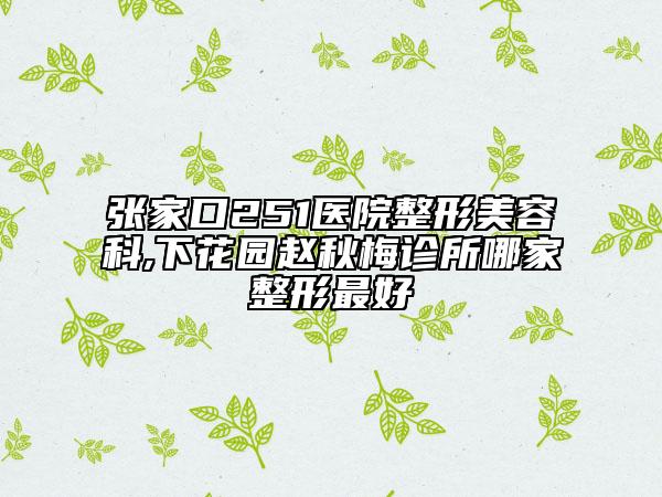 張家口251醫(yī)院整形美容科,下花園趙秋梅診所哪家整形最好