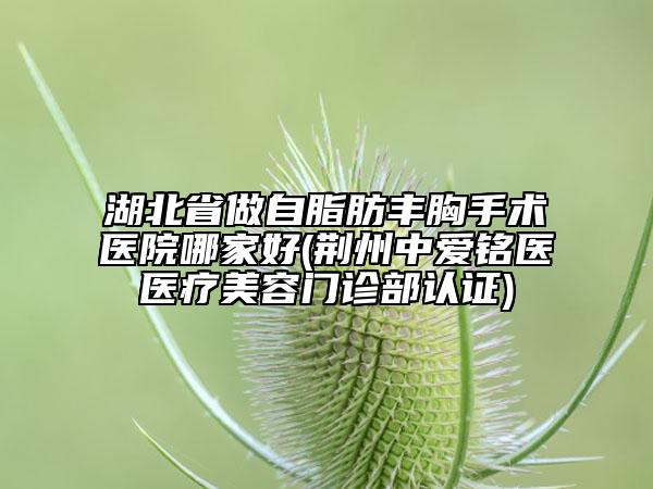 湖北省做自脂肪豐胸手術(shù)醫(yī)院哪家好(荊州中愛銘醫(yī)醫(yī)療美容門診部認(rèn)證)