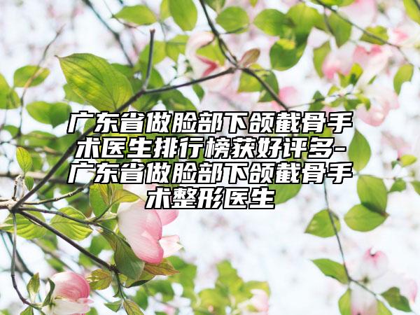 廣東省做臉部下頜截骨手術(shù)醫(yī)生排行榜獲好評多-廣東省做臉部下頜截骨手術(shù)整形醫(yī)生