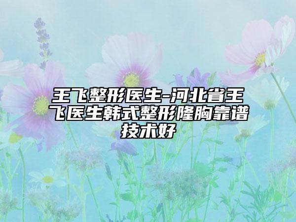 王飛整形醫(yī)生-河北省王飛醫(yī)生韓式整形隆胸靠譜技術(shù)好