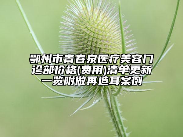 鄂州市青春泉醫(yī)療美容門診部?jī)r(jià)格(費(fèi)用)清單更新一覽附做再造耳案例