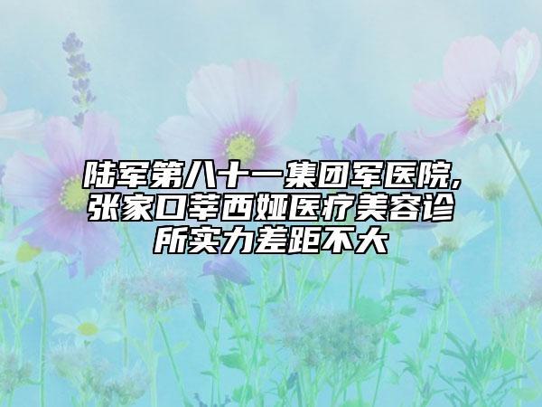 陸軍第八十一集團(tuán)軍醫(yī)院,張家口莘西婭醫(yī)療美容診所實(shí)力差距不大