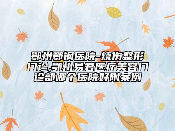 鄂州鄂鋼醫(yī)院-燒傷整形門診,鄂州易君醫(yī)療美容門診部哪個醫(yī)院好附案例