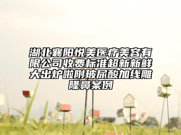 湖北襄陽悅美醫(yī)療美容有限公司收費標(biāo)準(zhǔn)超新新鮮大出爐啦附玻尿酸加線雕隆鼻案例
