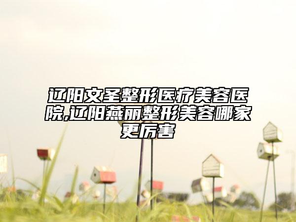 遼陽(yáng)文圣整形醫(yī)療美容醫(yī)院,遼陽(yáng)燕麗整形美容哪家更厲害