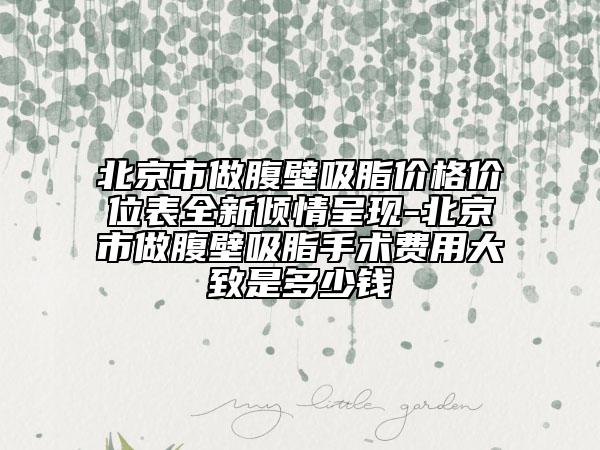 北京市做腹壁吸脂價(jià)格價(jià)位表全新傾情呈現(xiàn)-北京市做腹壁吸脂手術(shù)費(fèi)用大致是多少錢
