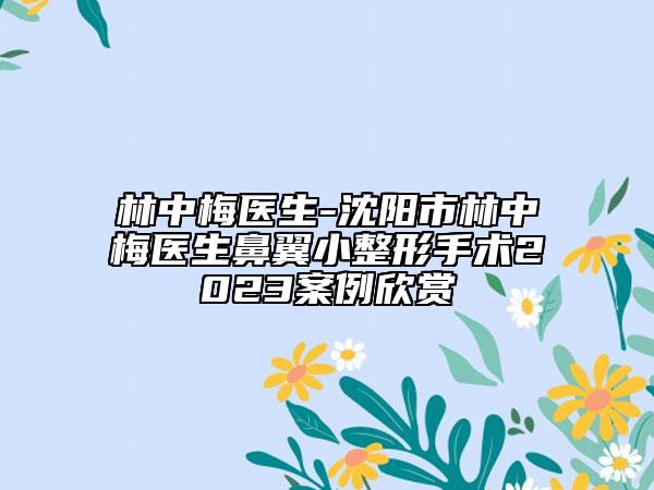 林中梅醫(yī)生-沈陽市林中梅醫(yī)生鼻翼小整形手術(shù)2023案例欣賞