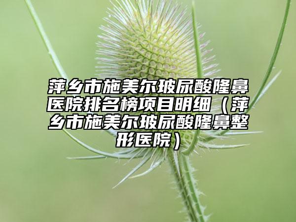 萍鄉(xiāng)市施美爾玻尿酸隆鼻醫(yī)院排名榜項(xiàng)目明細(xì)（萍鄉(xiāng)市施美爾玻尿酸隆鼻整形醫(yī)院）