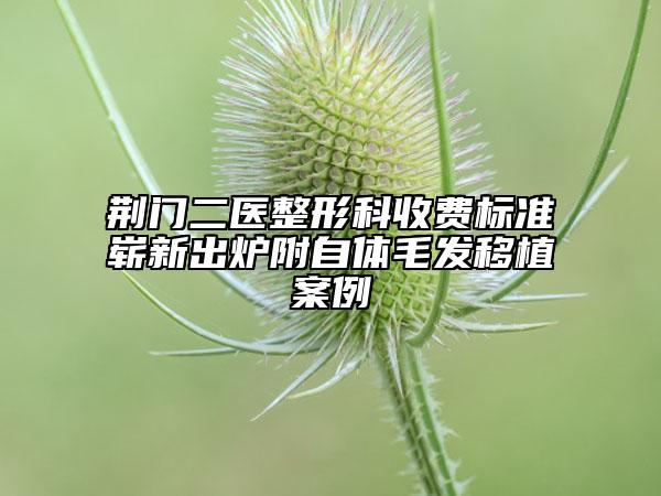 荊門二醫(yī)整形科收費(fèi)標(biāo)準(zhǔn)嶄新出爐附自體毛發(fā)移植案例