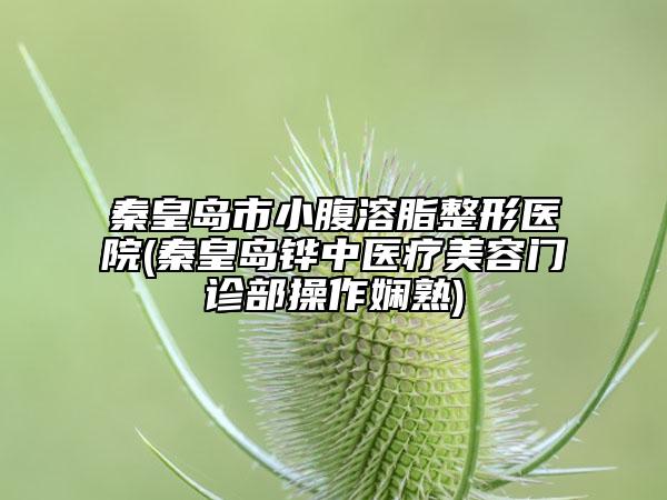秦皇島市小腹溶脂整形醫(yī)院(秦皇島鏵中醫(yī)療美容門診部操作嫻熟)