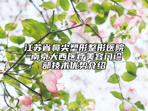 江蘇省鼻尖塑形整形醫(yī)院-南京大西醫(yī)療美容門(mén)診部技術(shù)優(yōu)勢(shì)介紹