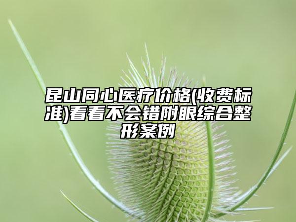 昆山同心醫(yī)療價格(收費(fèi)標(biāo)準(zhǔn))看看不會錯附眼綜合整形案例