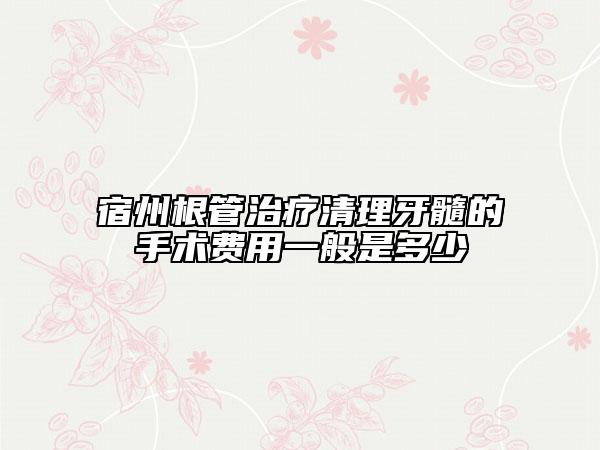 宿州根管治療清理牙髓的手術(shù)費(fèi)用一般是多少