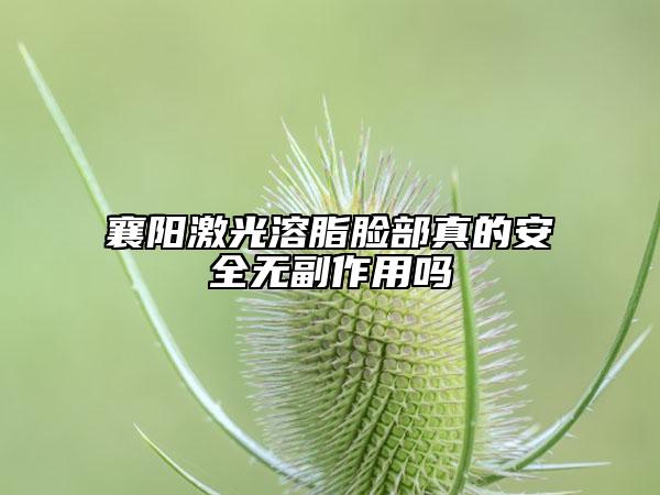 襄陽(yáng)激光溶脂臉部真的安全無副作用嗎