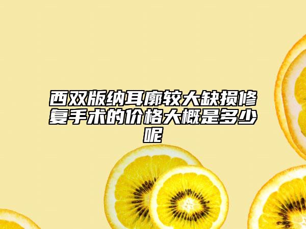 西雙版納耳廓較大缺損修復手術的價格大概是多少呢