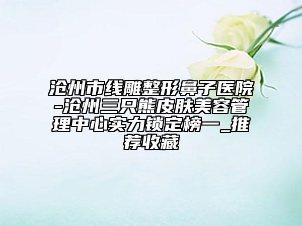 滄州市線雕整形鼻子醫(yī)院-滄州三只熊皮膚美容管理中心實力鎖定榜一_推薦收藏