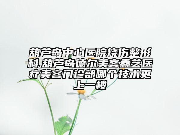 葫蘆島中心醫(yī)院燒傷整形科,葫蘆島德爾美客鑫藝醫(yī)療美容門診部哪個(gè)技術(shù)更上一樓